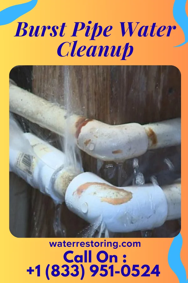 Burst Pipe Water Cleanup in Black Mountain, NC