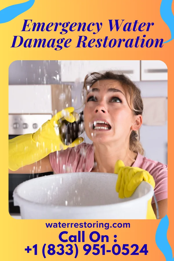 Emergency Water Damage Restoration in Black Mountain, NC