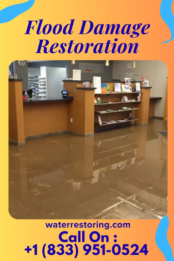 Flood Damage Restoration in Black Mountain, NC